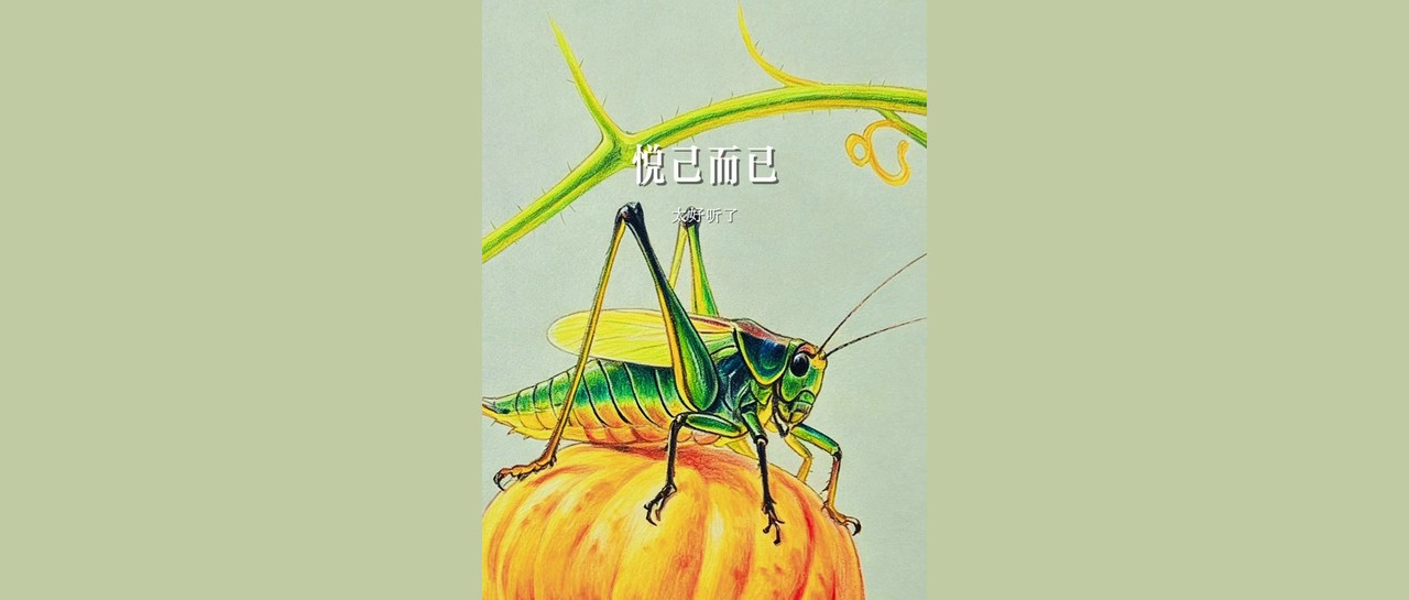 悦己而已