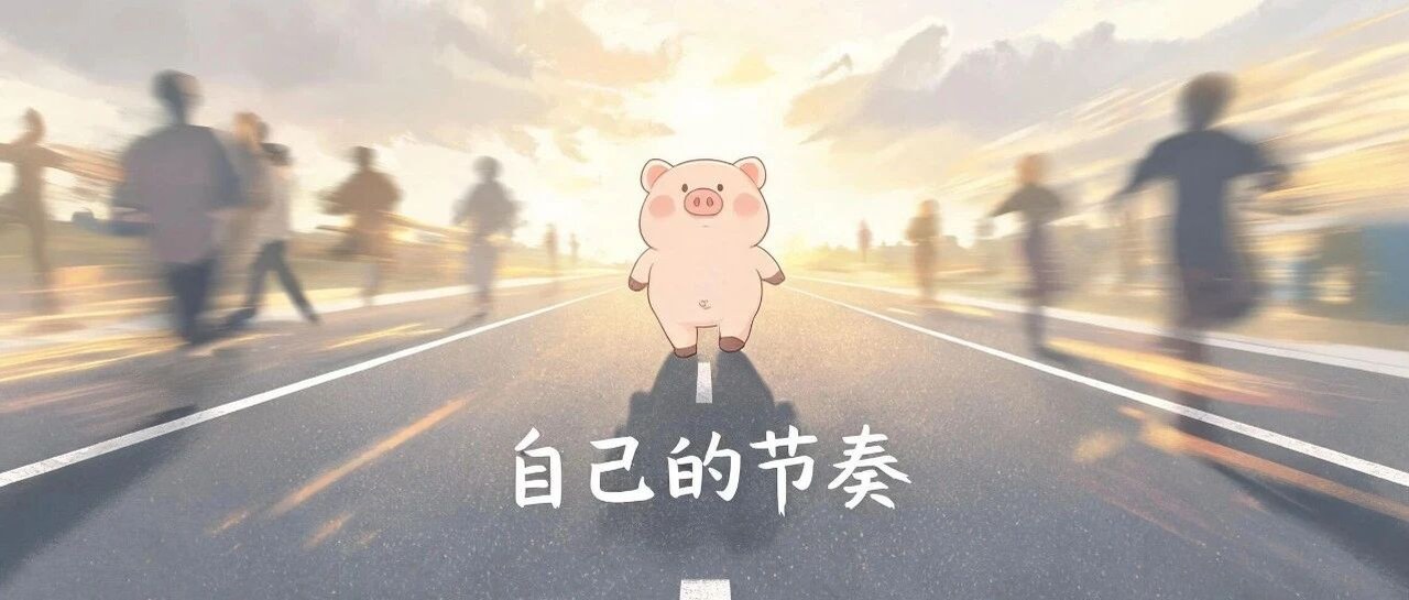 《十二生肖职场人格解码》·猪系列·第三篇：像猪一样稳健